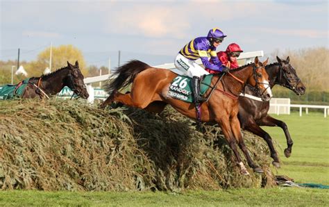 2018 grand national|aintree grand national runners.